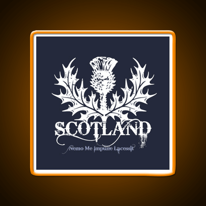Scotland Whiskey Drink Bar Led Neon Sign Rgb Color - Shineneon