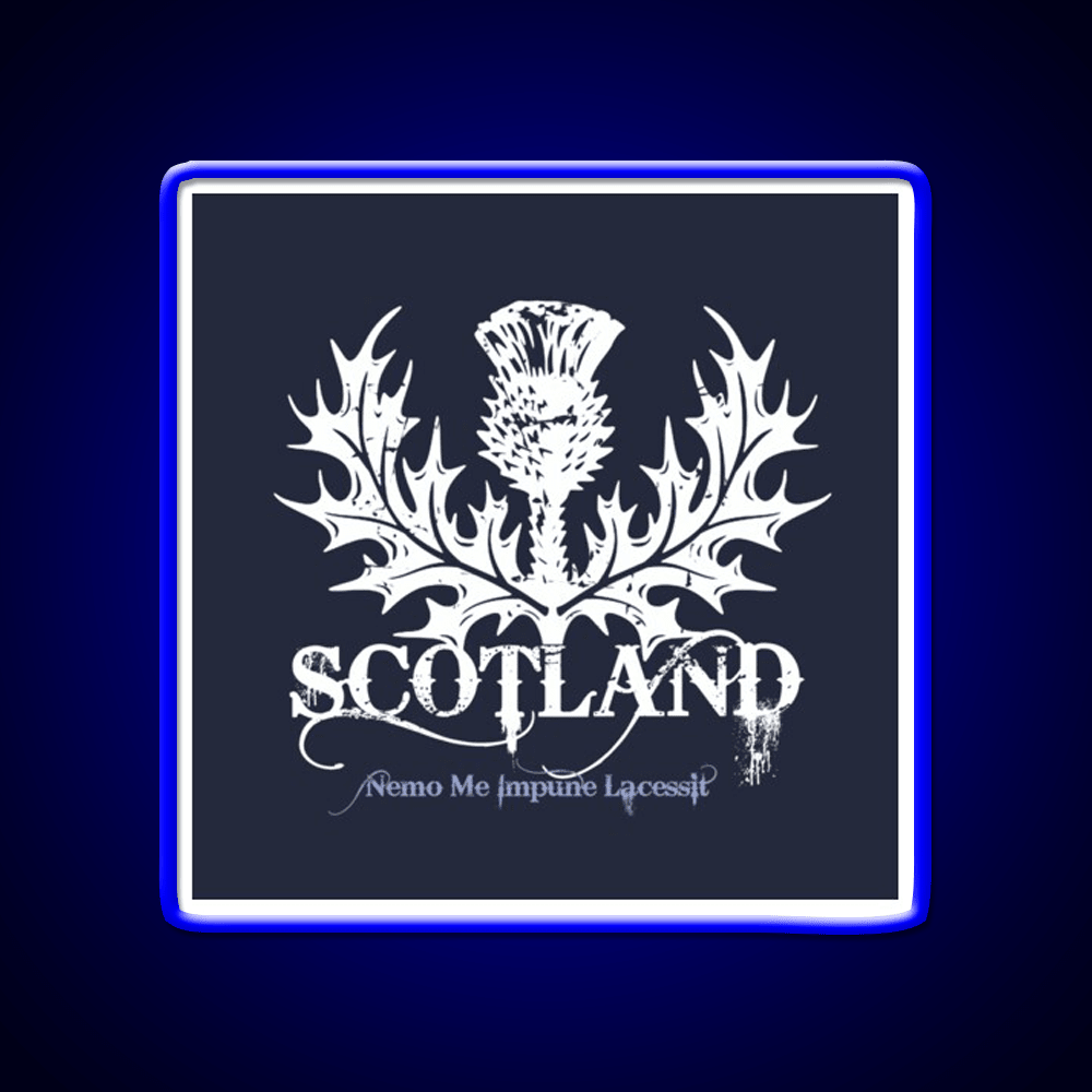 Scotland Whiskey Drink Bar Led Neon Sign Rgb Color - Shineneon