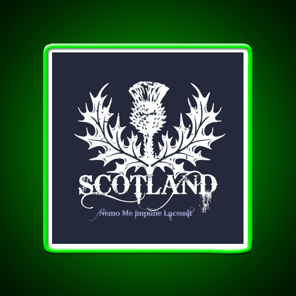 Scotland Whiskey Drink Bar Led Neon Sign Rgb Color - Shineneon