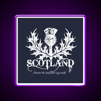 Scotland Whiskey Drink Bar Led Neon Sign Rgb Color - Shineneon