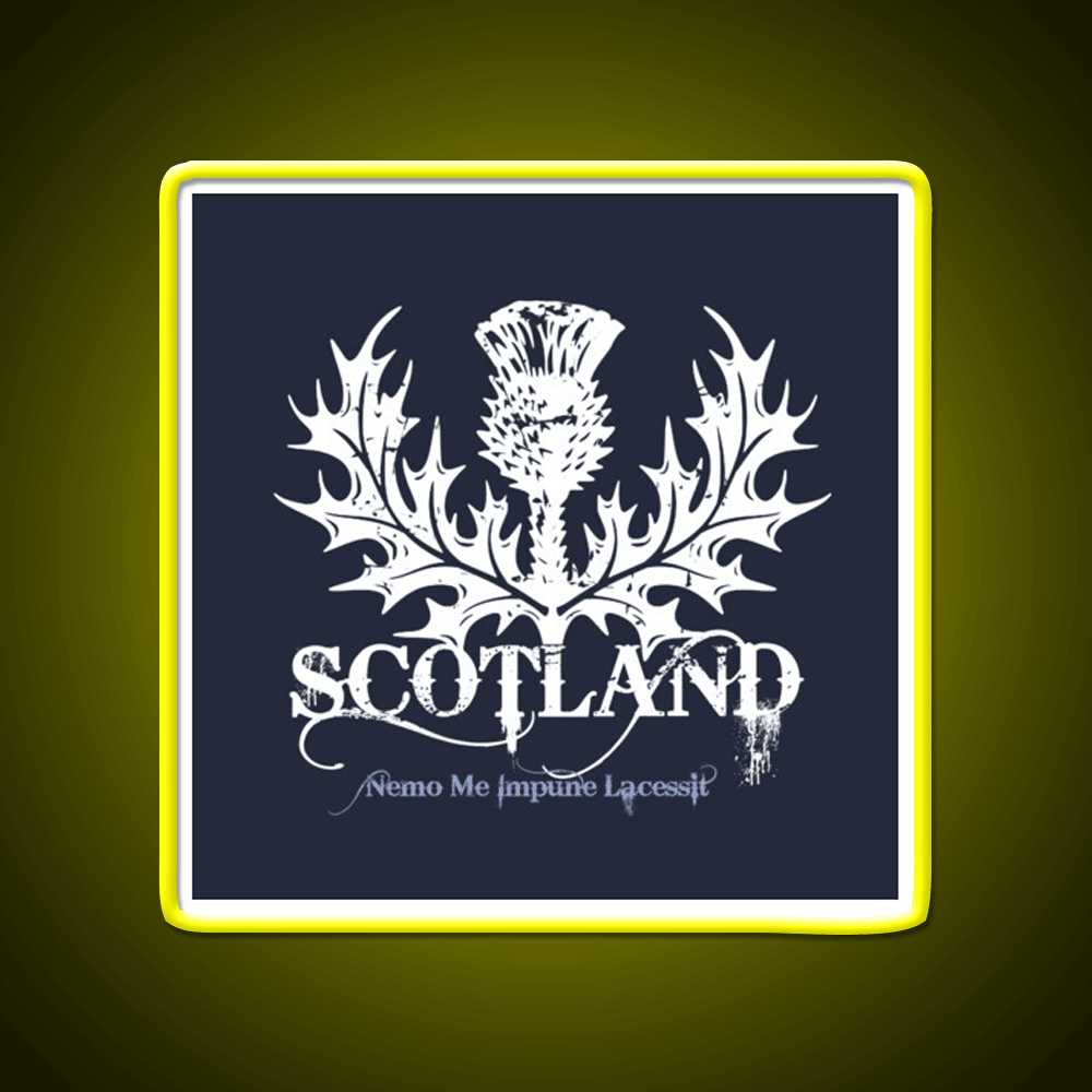 Scotland Whiskey Drink Bar Led Neon Sign Rgb Color - Shineneon