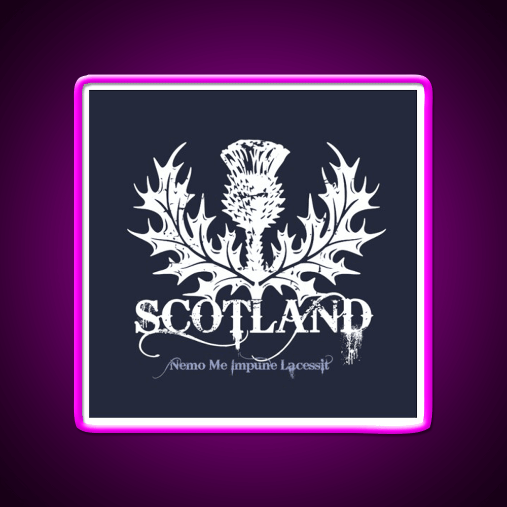 Scotland Whiskey Drink Bar Led Neon Sign Rgb Color - Shineneon