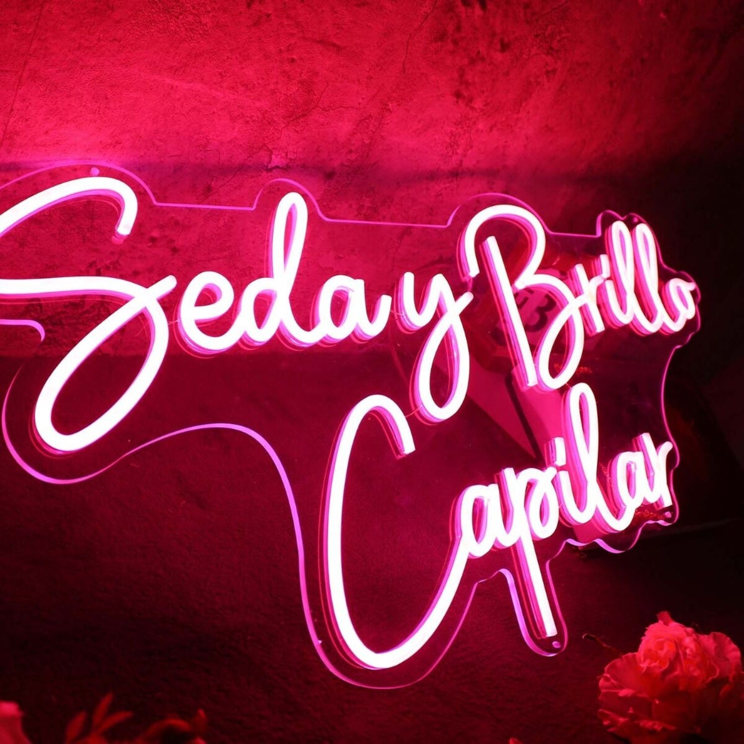 Seday Brillo Capilar Red Led Neon Sign | Shineneon