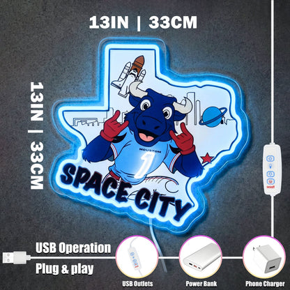 ShineNeon™ Houston Space City Texas Bull LED Neon Sign Multi - Color Sport Cave Vibe USB Power - Shineneon