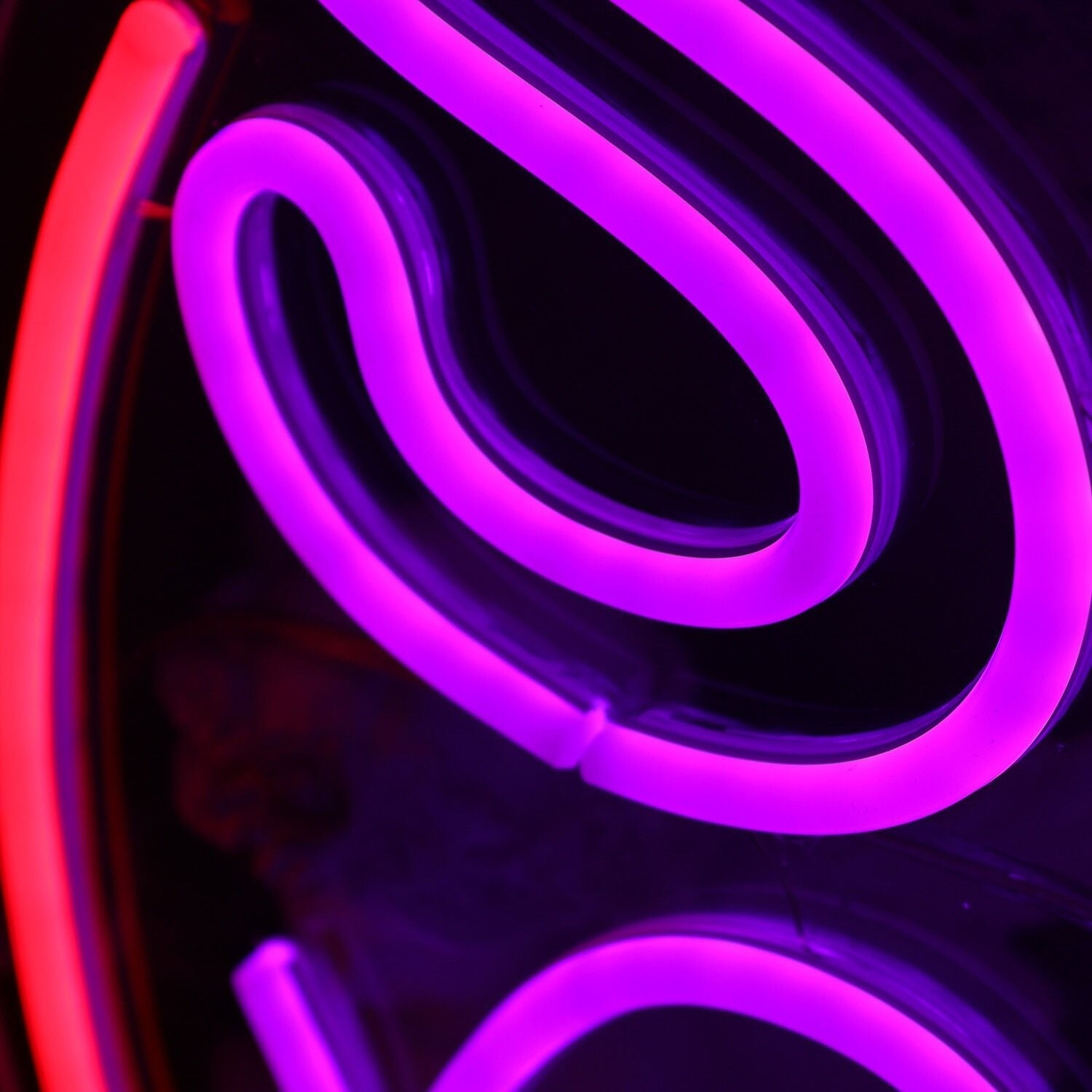 Show Raide Custom Led Neon Sign - Shineneon