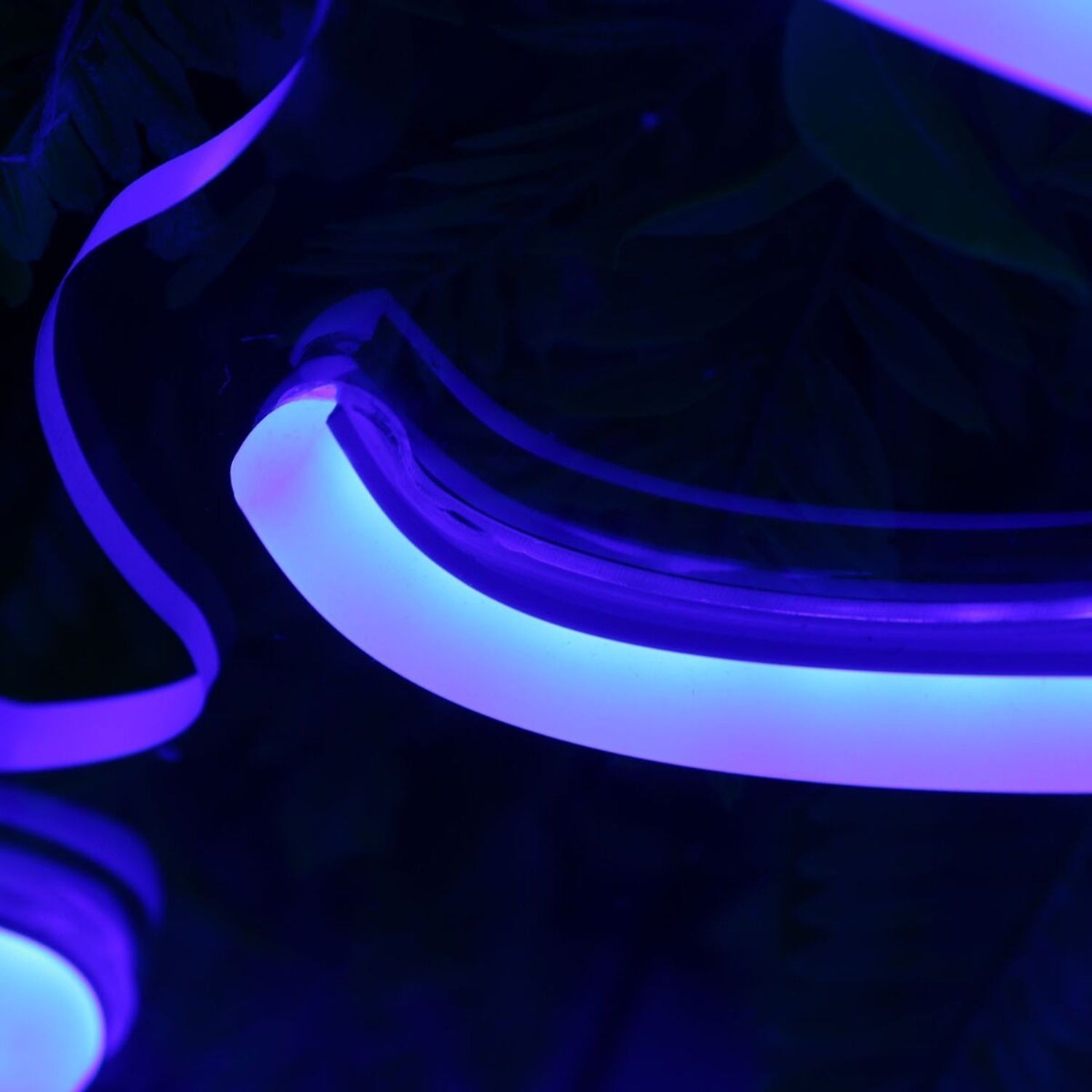 Shy So Selfish Blue Led Neon Sign - Shineneon