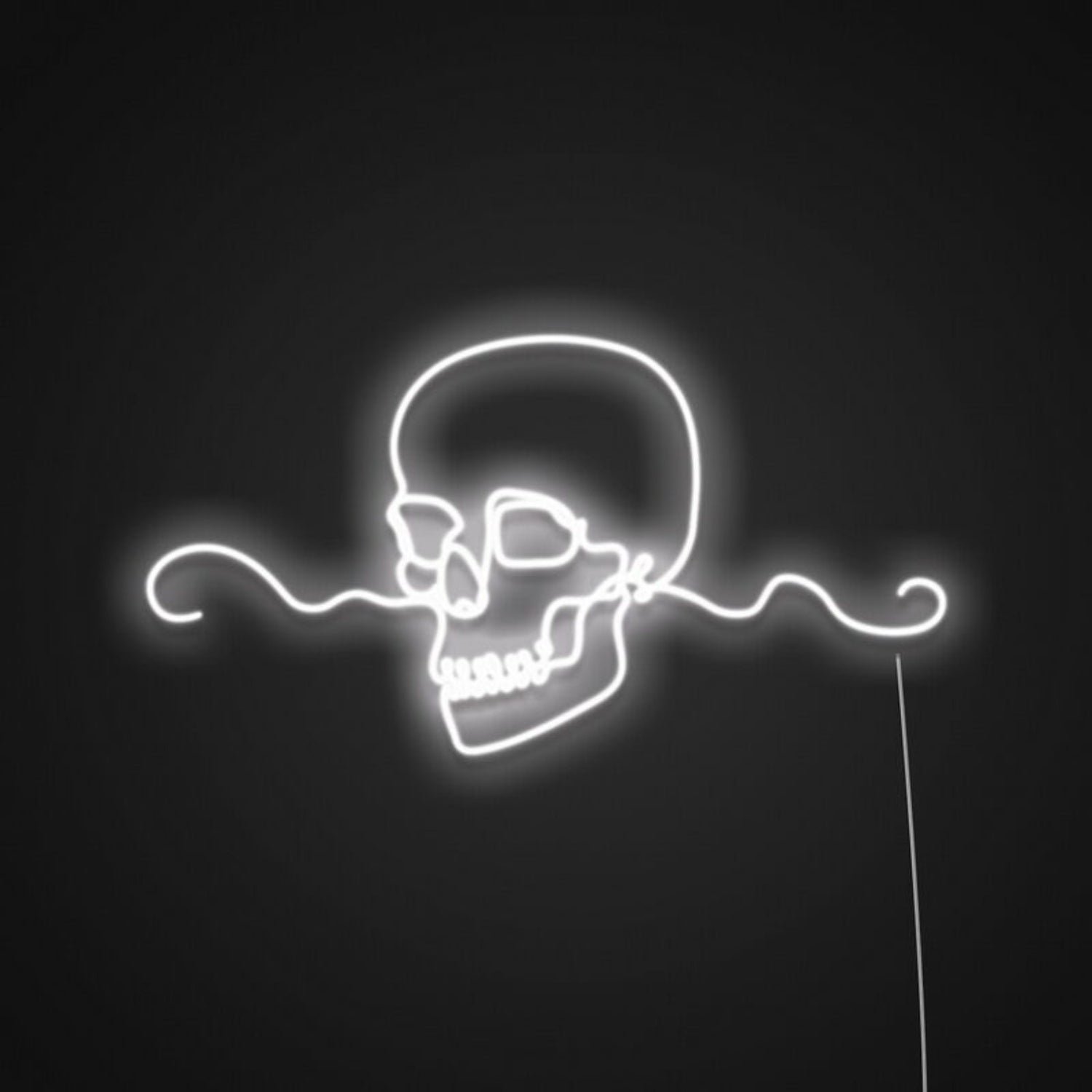Skull Customizable Sign Neon Sign | Shineneon