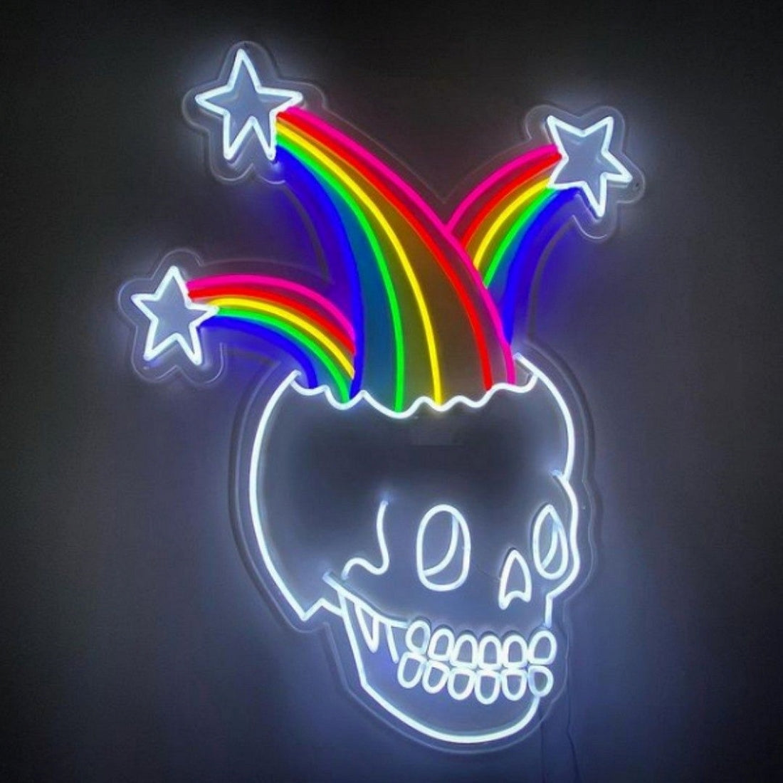 Skull With Rainbows Led Sign Business Neon Sign