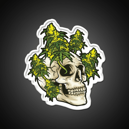 Skull With Weed Growing Out Of It Hemp Inspired Green Leaf Led Neon Sign Rgb Color - Shineneon