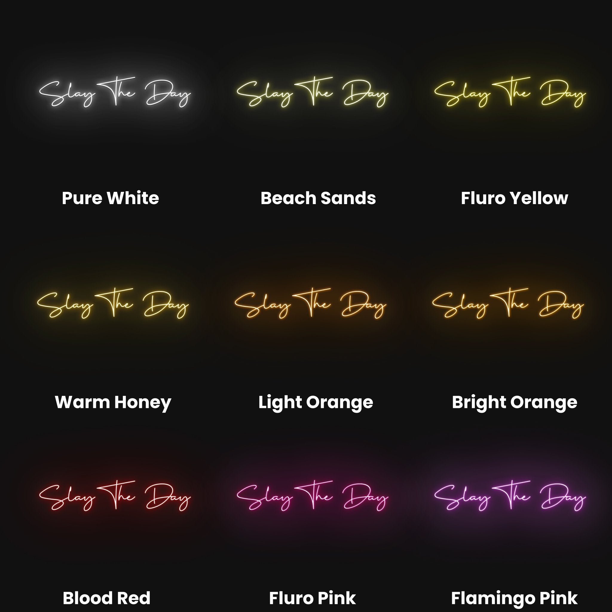 Slay The Day Led Neon Sign | Shineneon