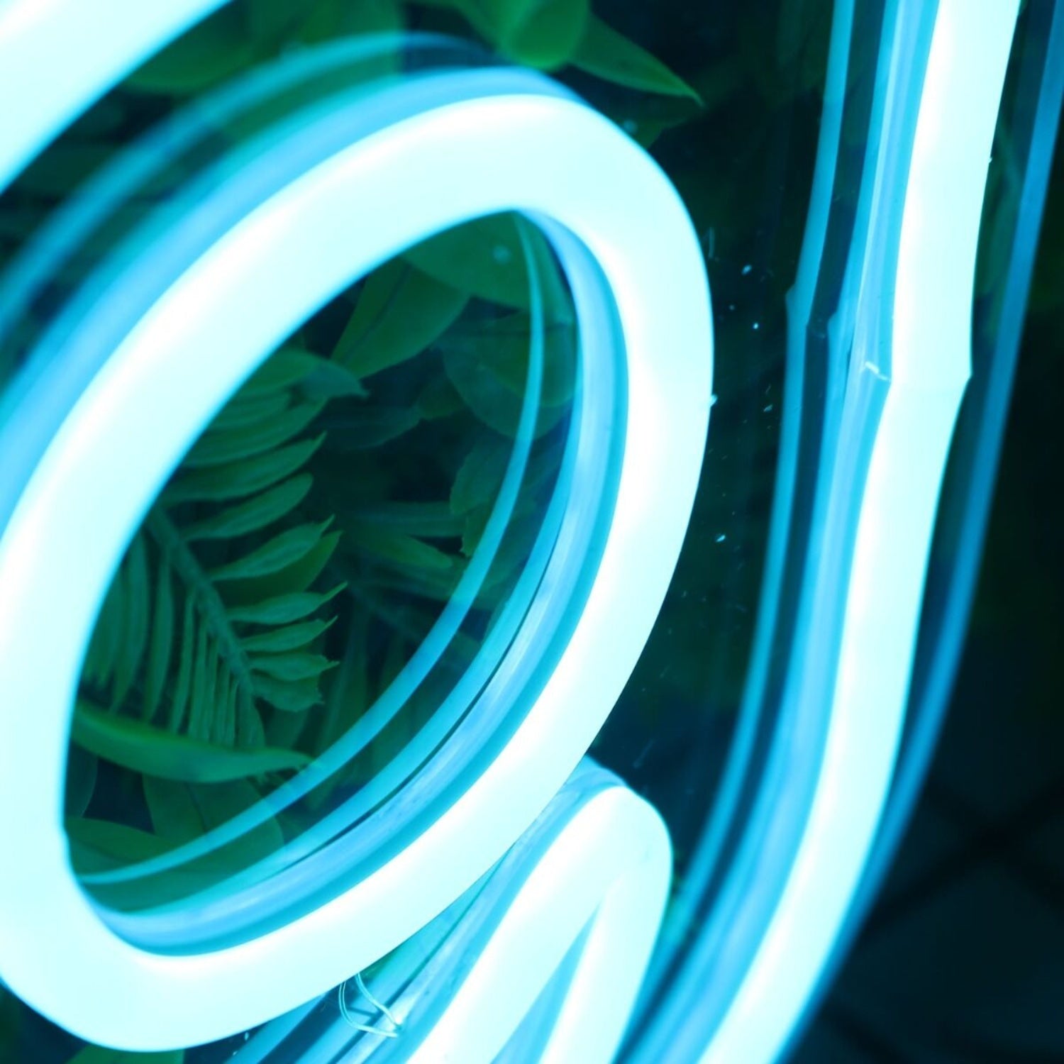 Sling Blue Led Neon Sign - Shineneon
