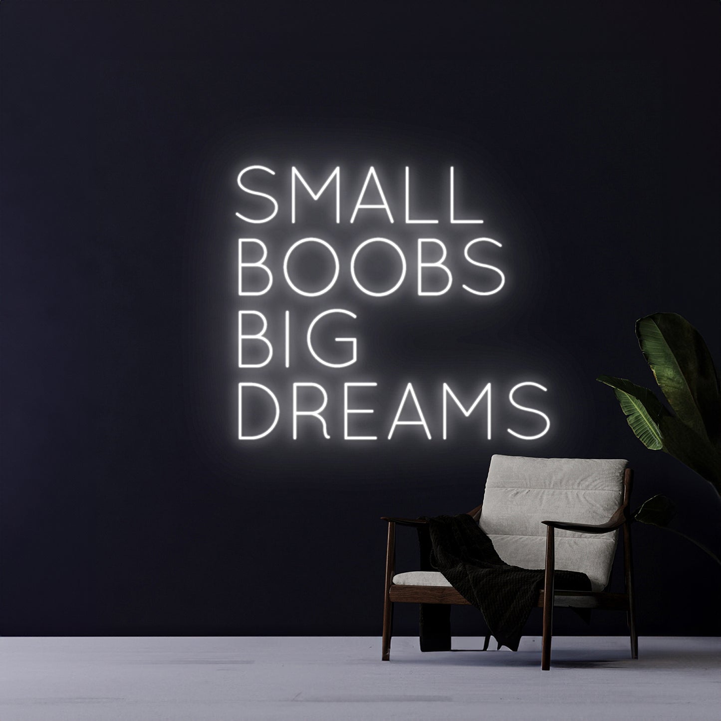 Small Boobs Big Dreams Neon Sign