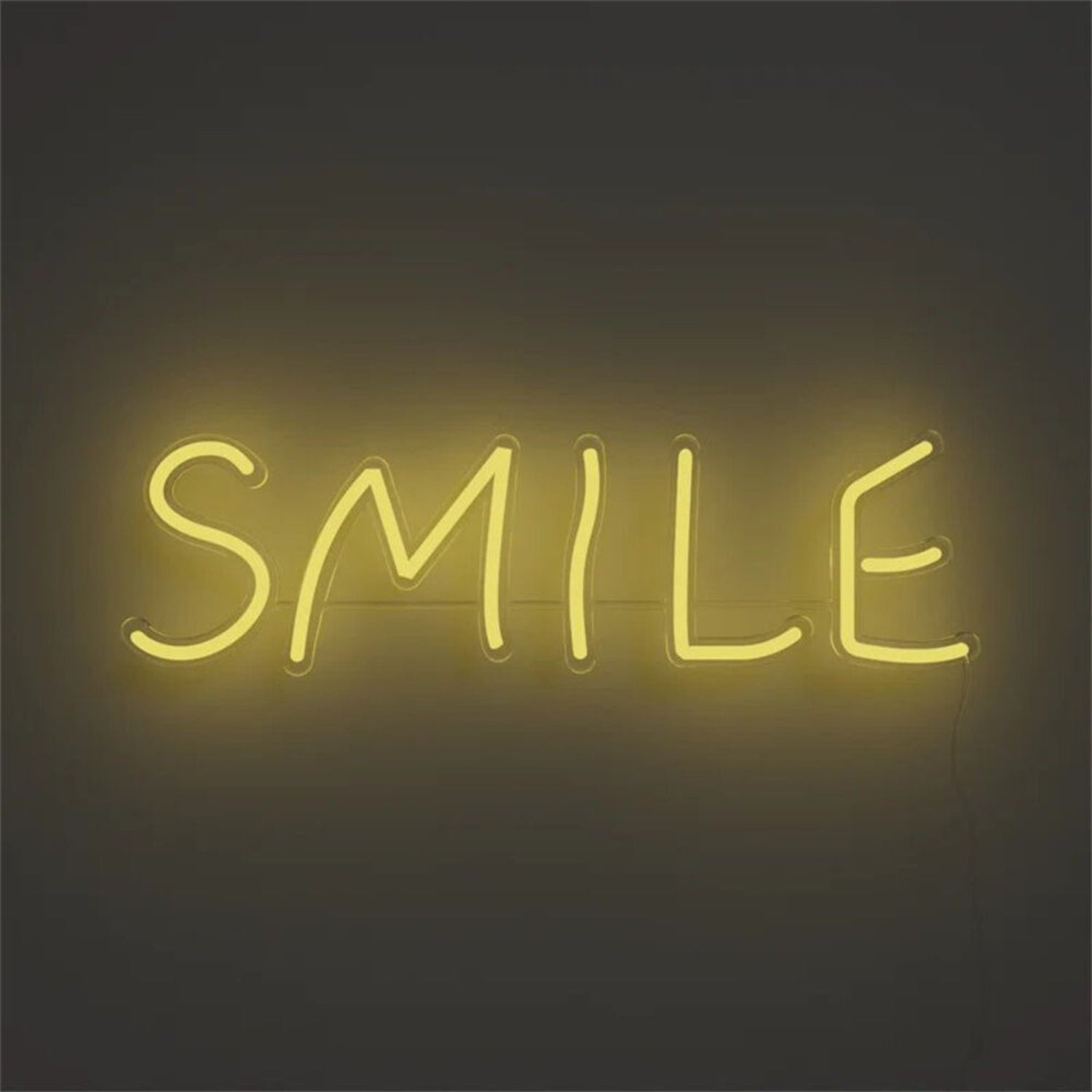 Smile Led Neon Sign For Home Office Storefront - Shineneon