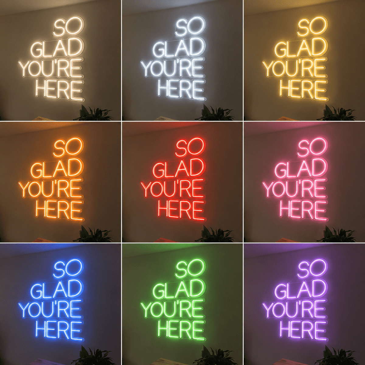 So Glad You're Here LED Neon Sign Wall Decor - Shineneon