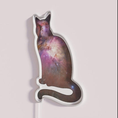 Space Cat Rgb Led Neon Sign - Shineneon