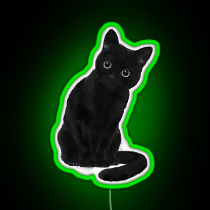 Spooky Cute Cat Rgb Led Neon Sign Pop Wall Art - Shineneon