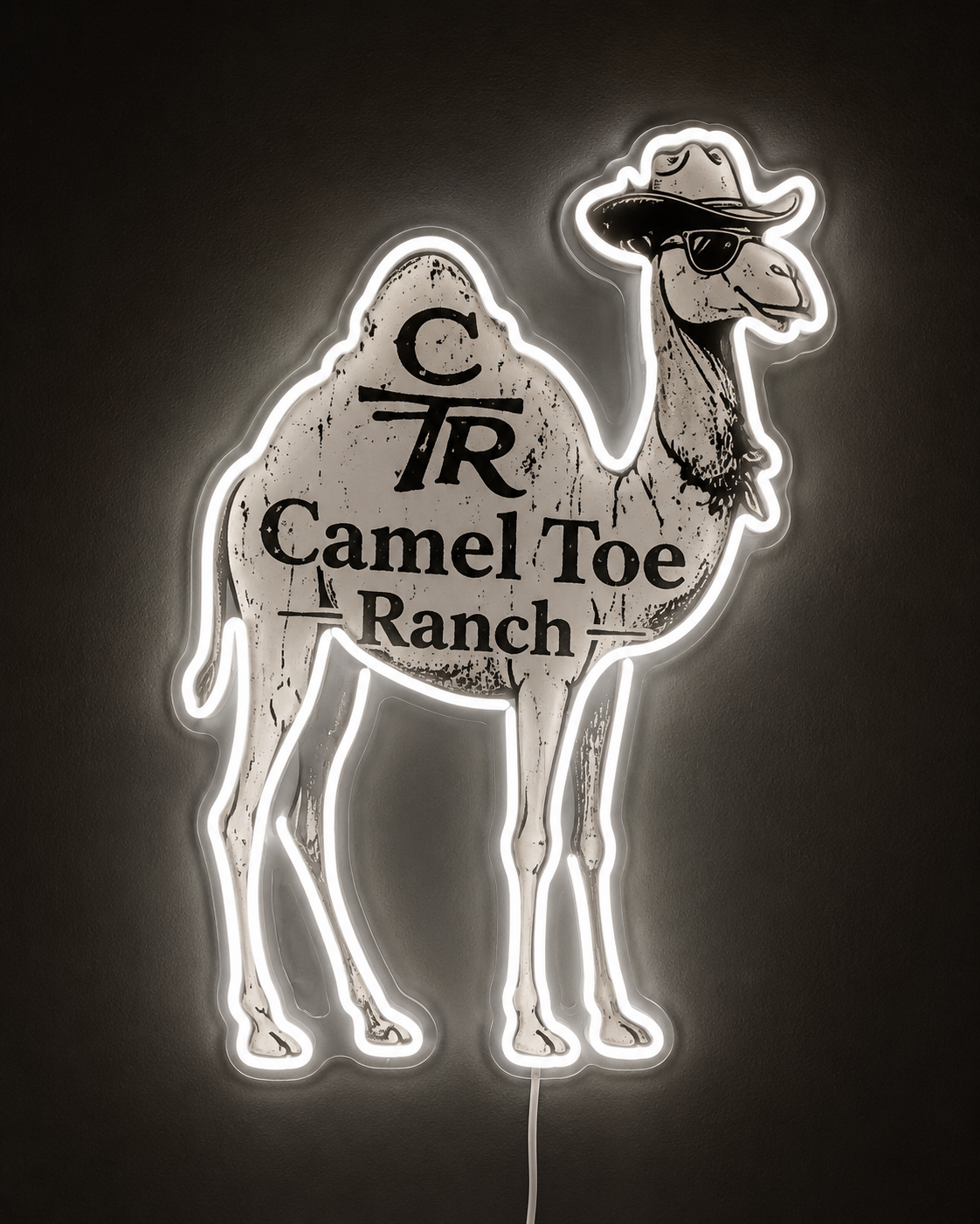 Camel Toe Ranch Custom LED Neon Sign (LED preview)