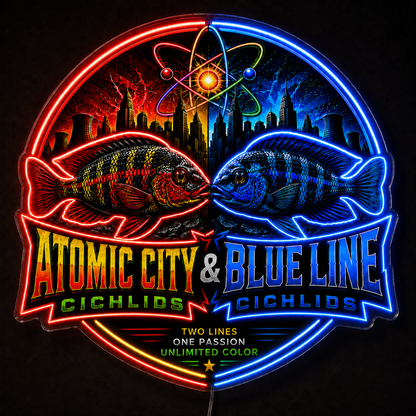 ATOMIC CITY & BLUE LINE Custom LED Neon Sign (LED preview)
