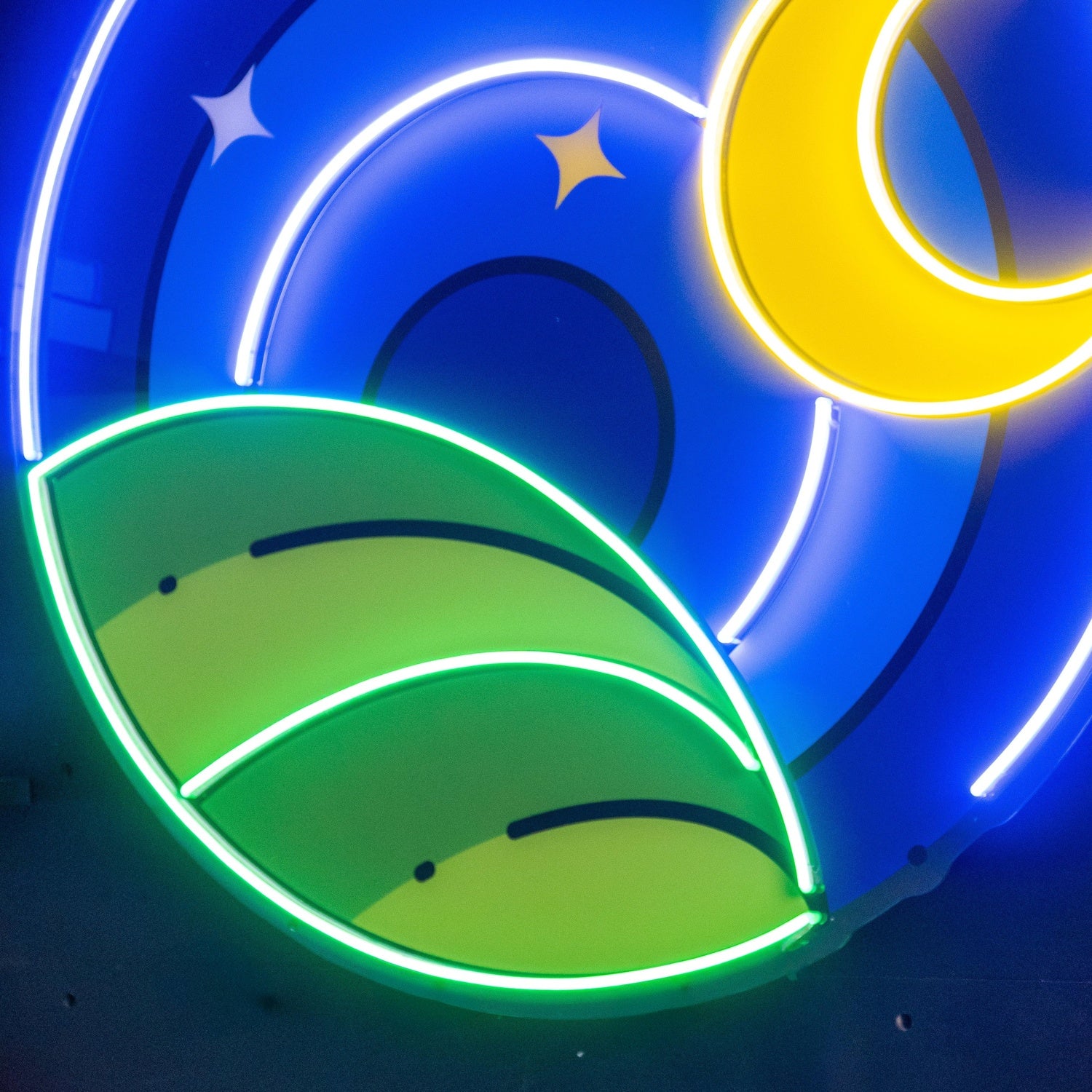 Starry Moon Leaves Uv Printed Led Neon Sign For Indoor Wall Decor | Shineneon