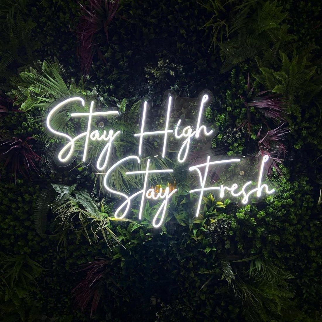 Stay High Stay Fresh Led Sign Business Neon Sign - Shineneon