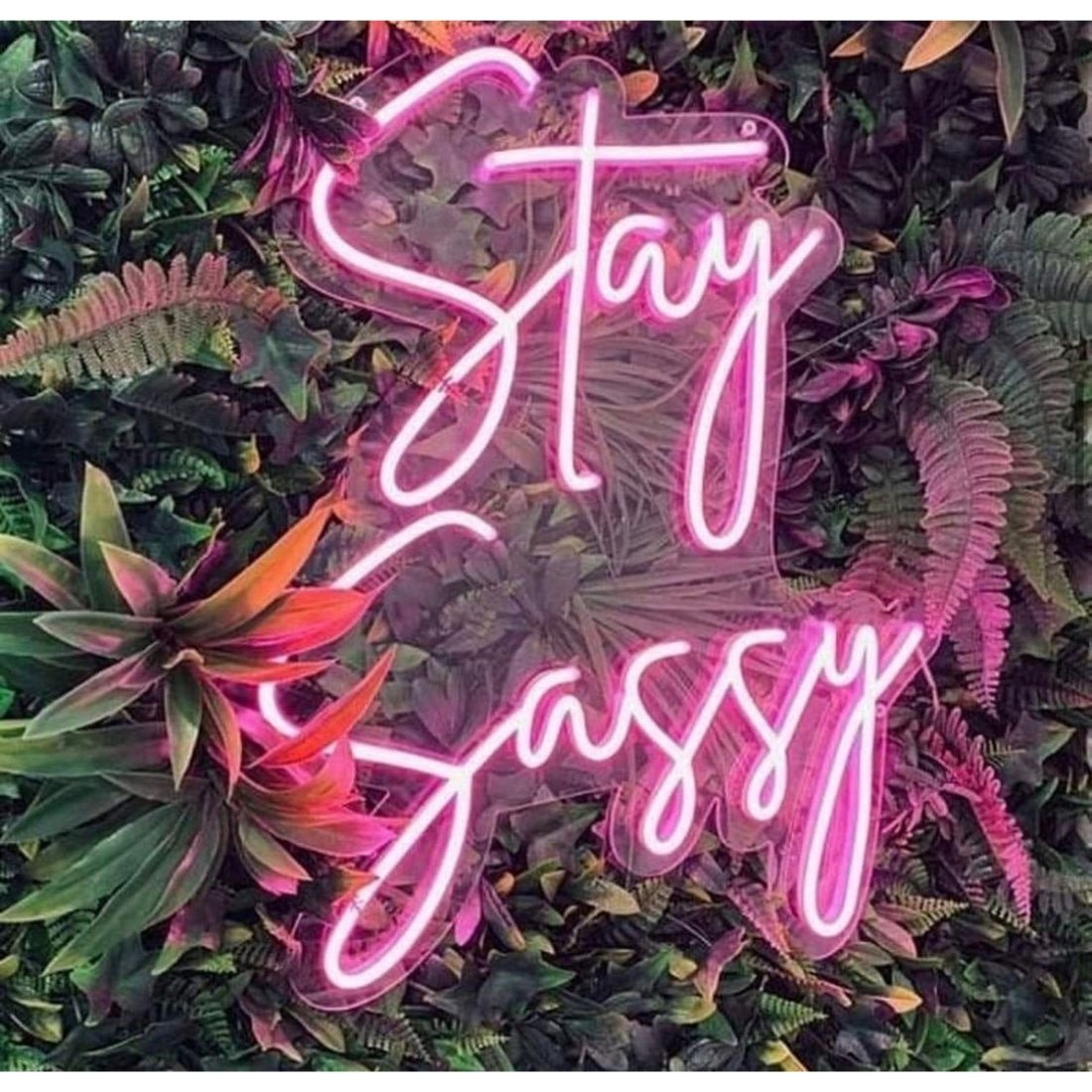 Stay Sassy Led Sign Business Neon Signs - Shineneon