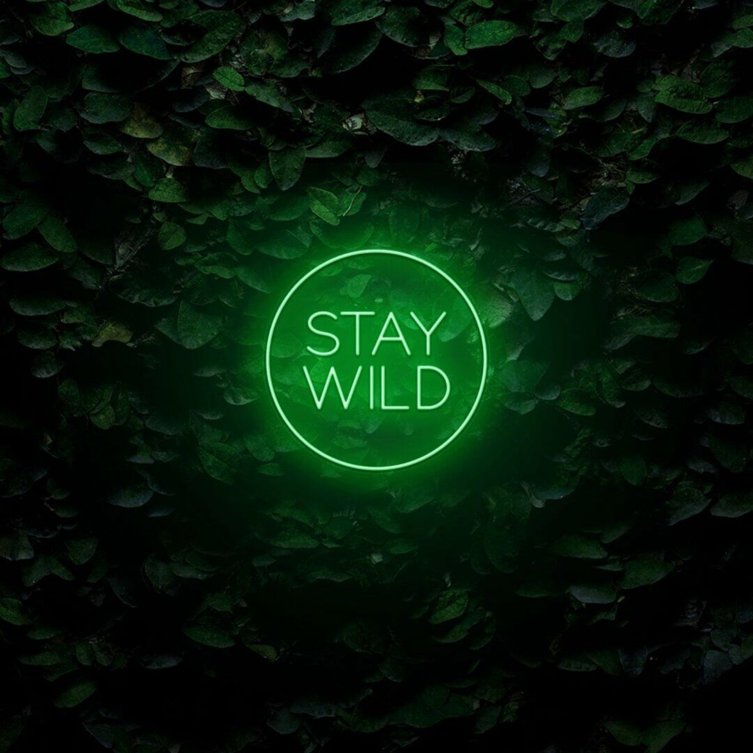 Stay Wild Led Sign | Shineneon