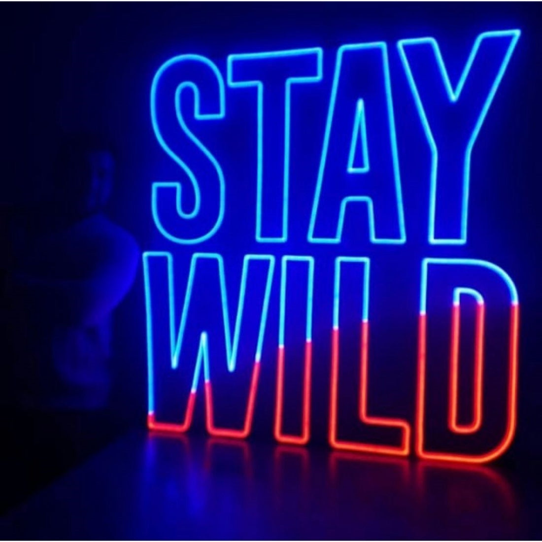 Stay Wild Led Sign Business Neon Signs Wall Art Decor