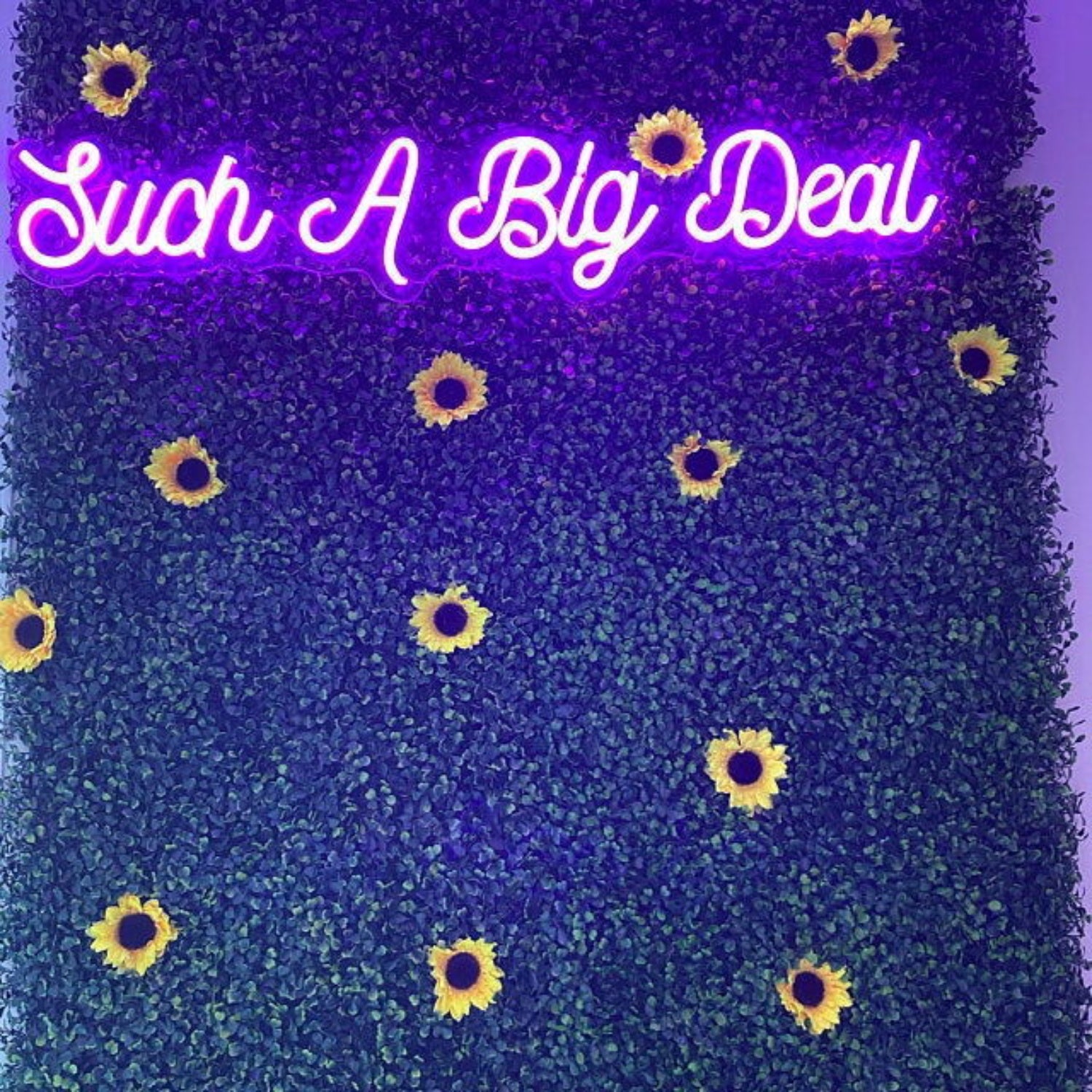 Such A Big Deal Neon Sign | Shineneon