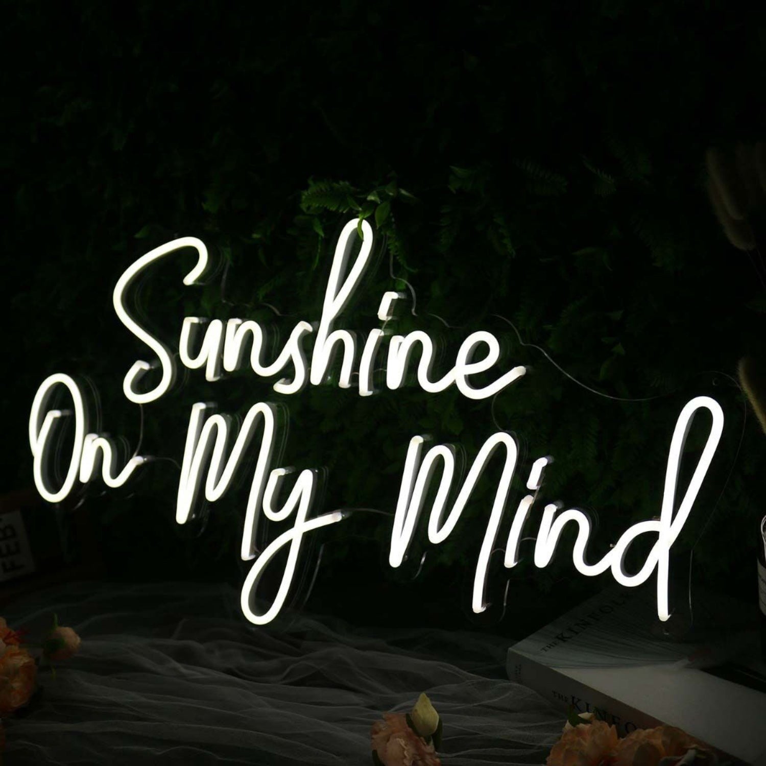 Sunshine On My Mind White Led Neon Sign - Shineneon