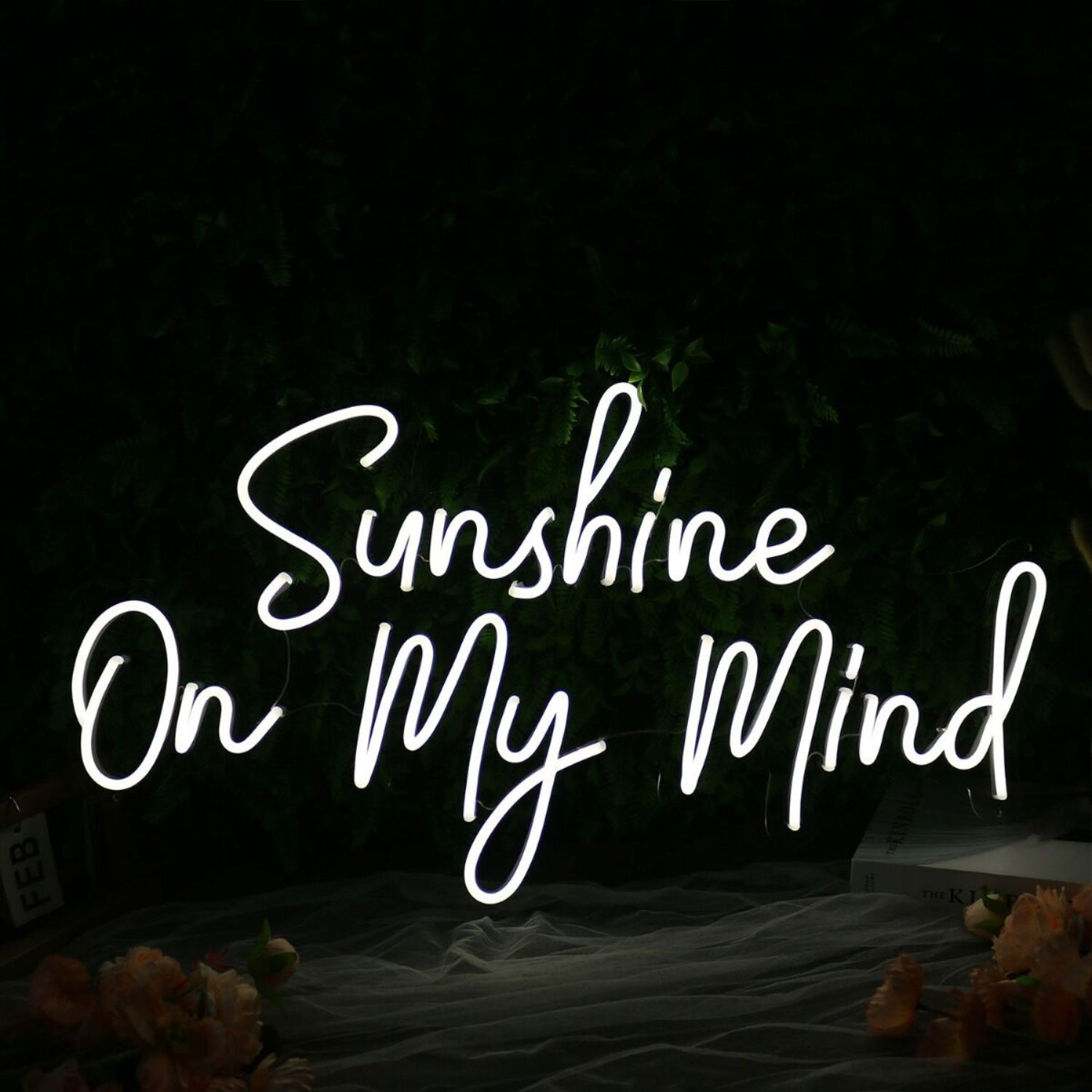 Sunshine On My Mind White Led Neon Sign - Shineneon
