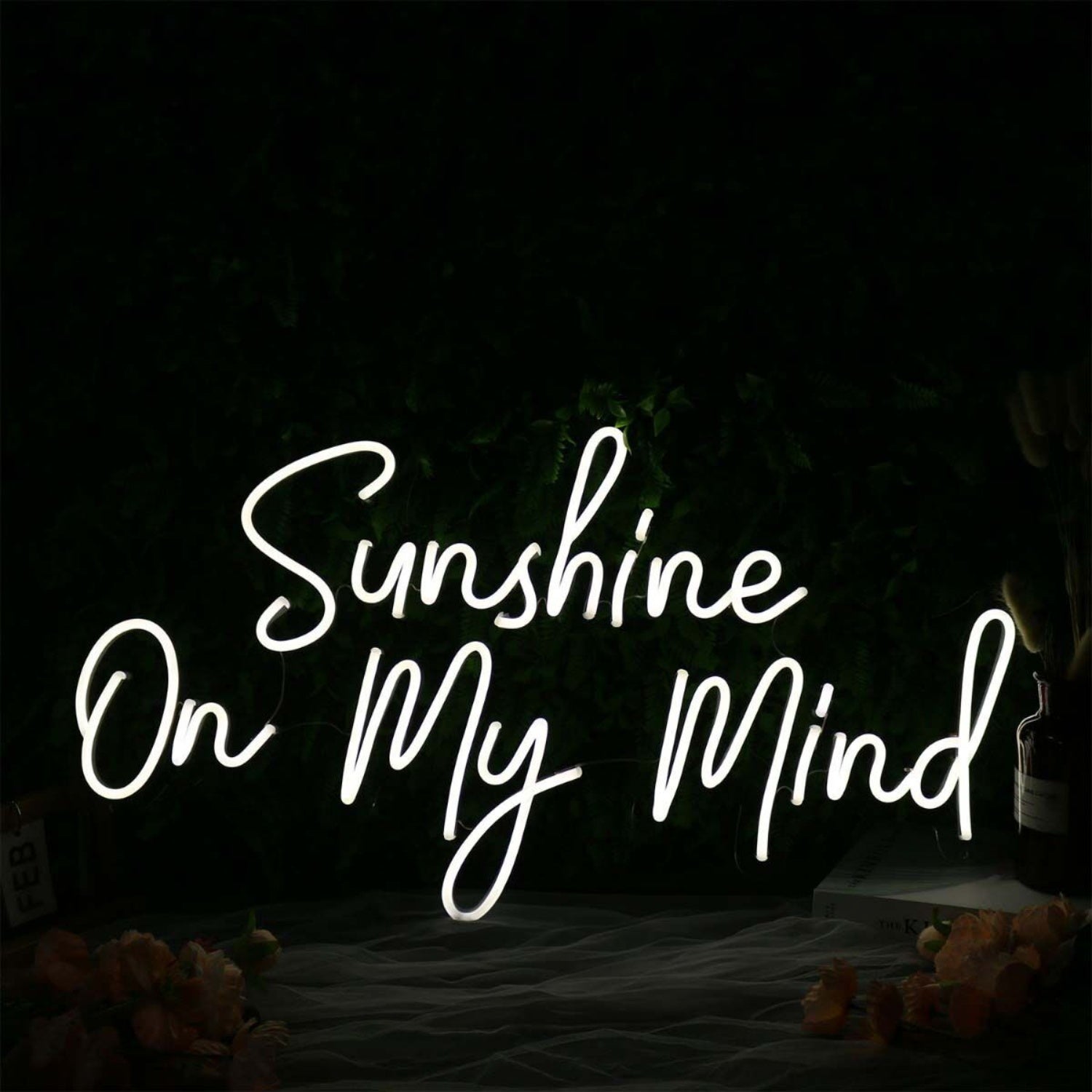 Sunshine On My Mind White Led Neon Sign - Shineneon