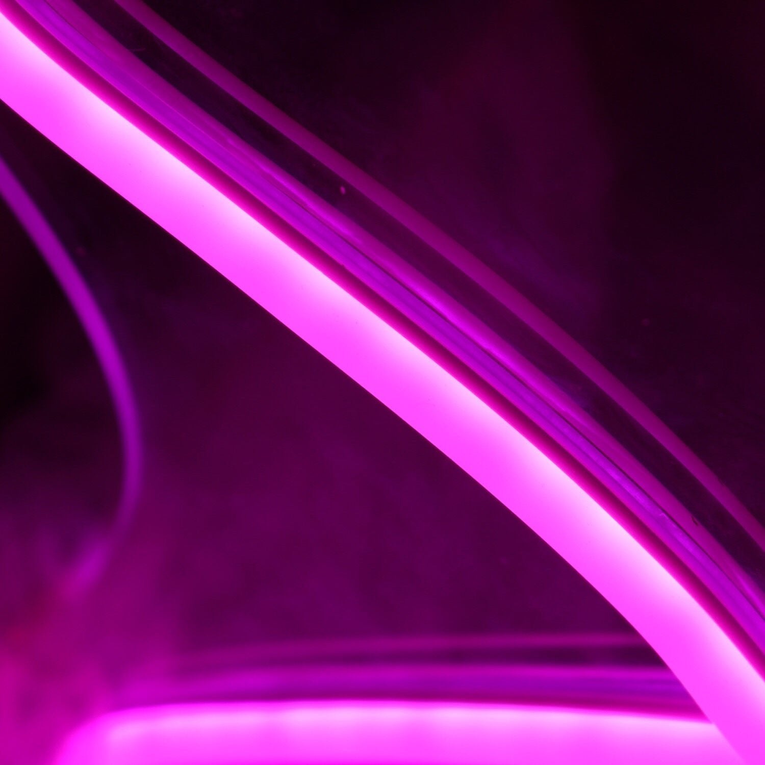 Sylvia Pink Led Neon Sign - Shineneon