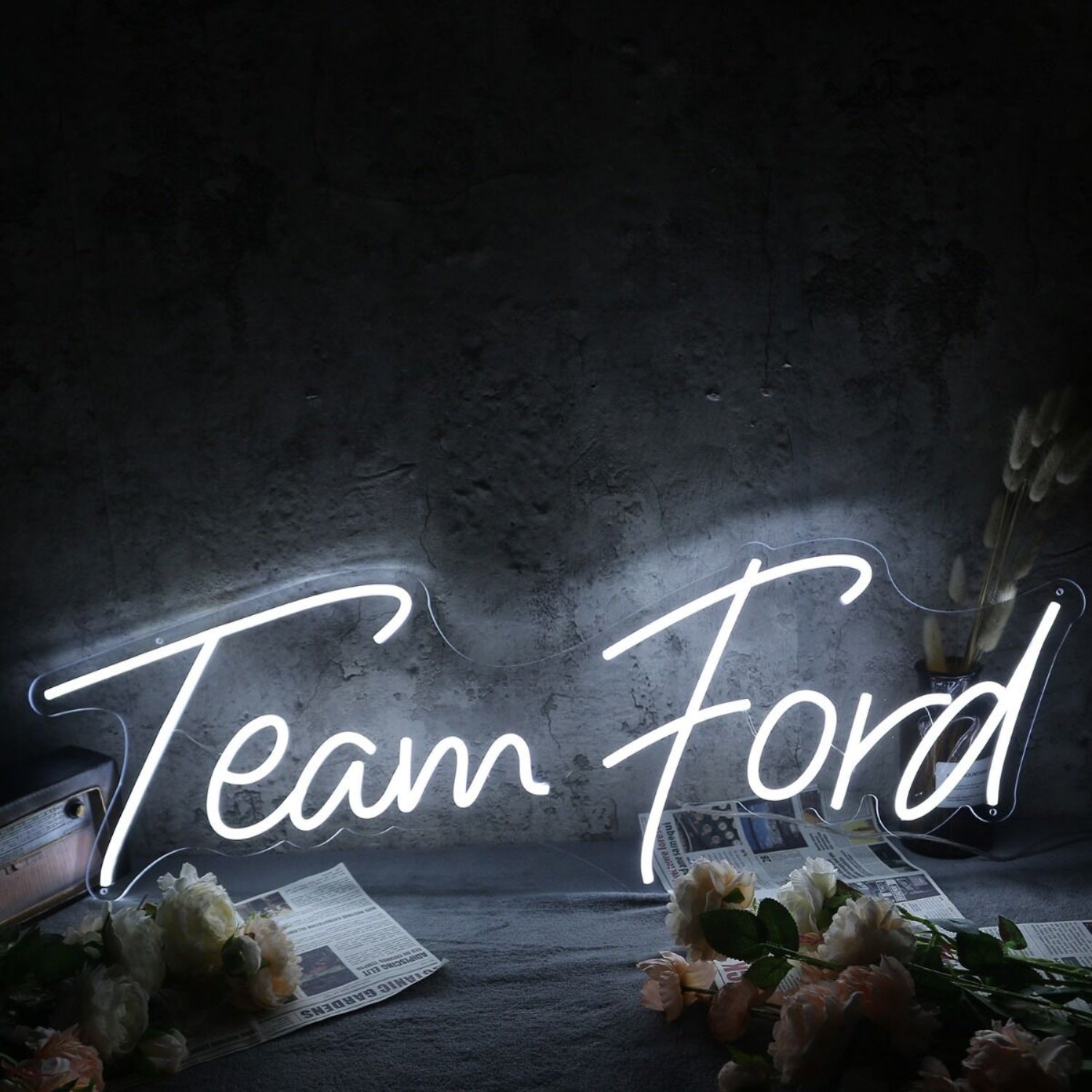 Team Ford White Led Neon Sign | Shineneon