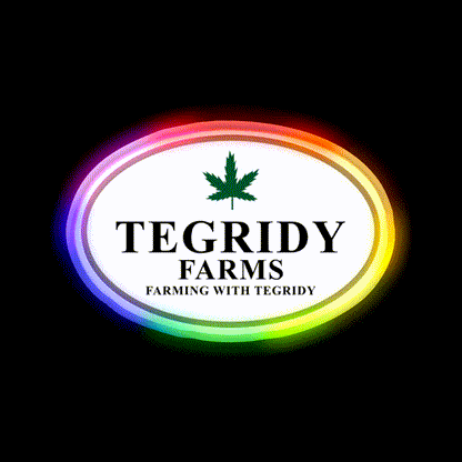 Tegridy Farms Hemp Inspired Green Leaf Led Neon Sign Rgb Color - LED neon sign close-up detail