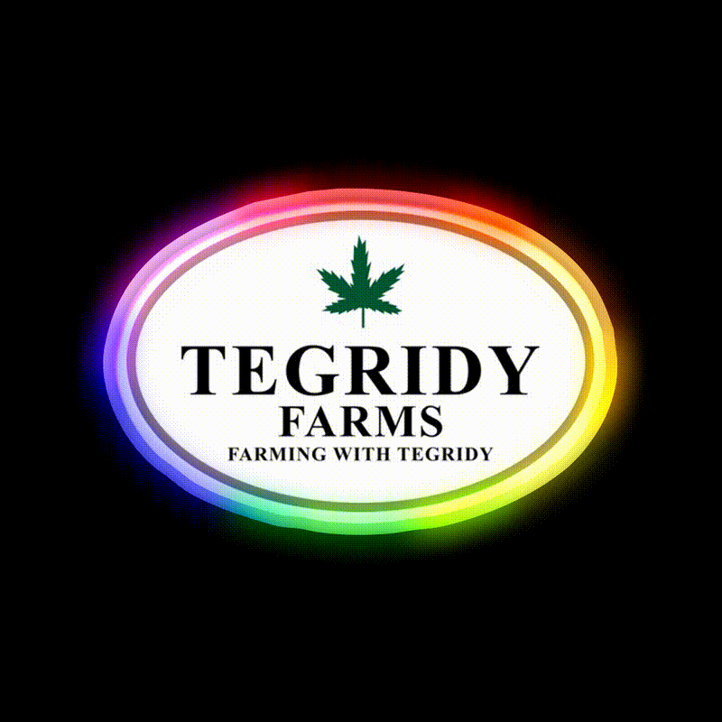 Tegridy Farms Hemp Inspired Green Leaf Led Neon Sign Rgb Color - LED neon sign close-up detail