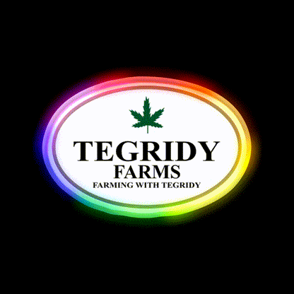 Tegridy Farms Hemp Inspired Green Leaf Led Neon Sign Wall Decor Rgb Color - LED neon sign close-up detail
