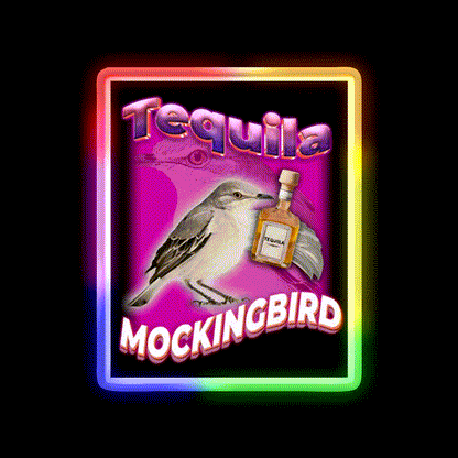 Tequila Mockingbird Pun For Tequila Lovers Party Drink Tequila Led Neon Sign Rgb Color - LED neon sign close-up detail