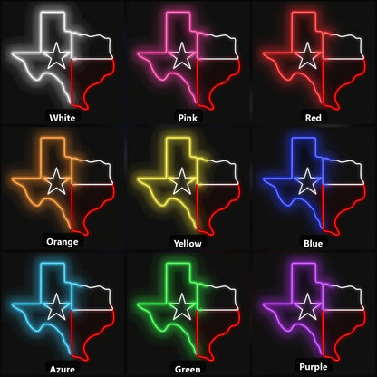 Texas State Outline Vintage LED Neon Sign color grid