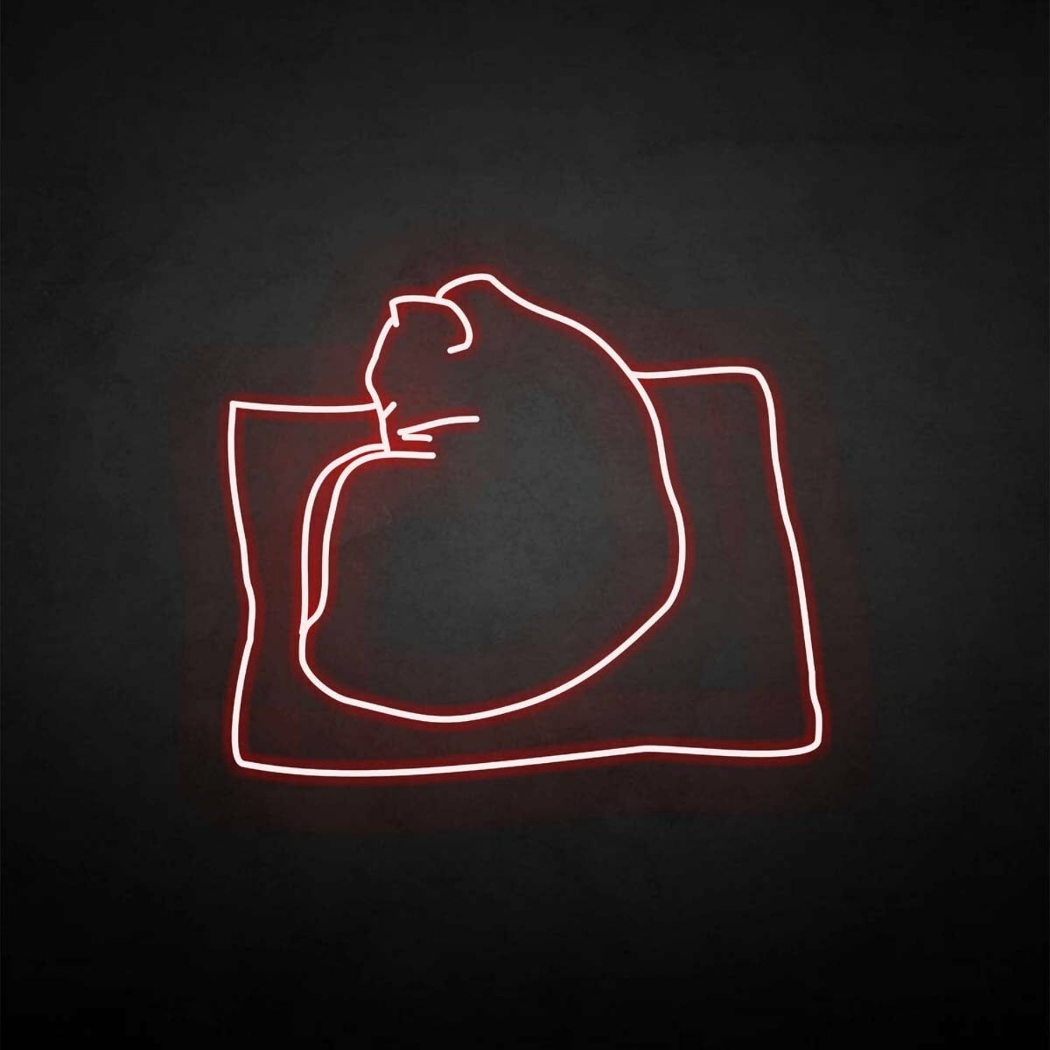 The Cat On The Pillow Led Neon Sign - Shineneon
