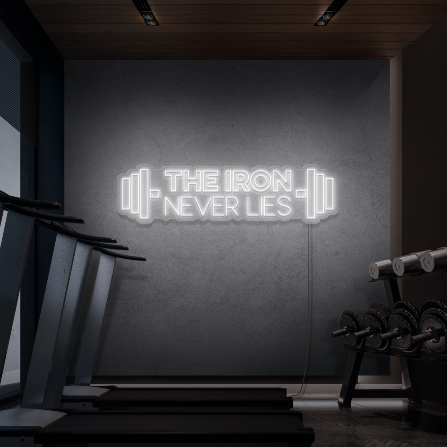 The Iron Does Not Lie Led Neon Signs - Shineneon