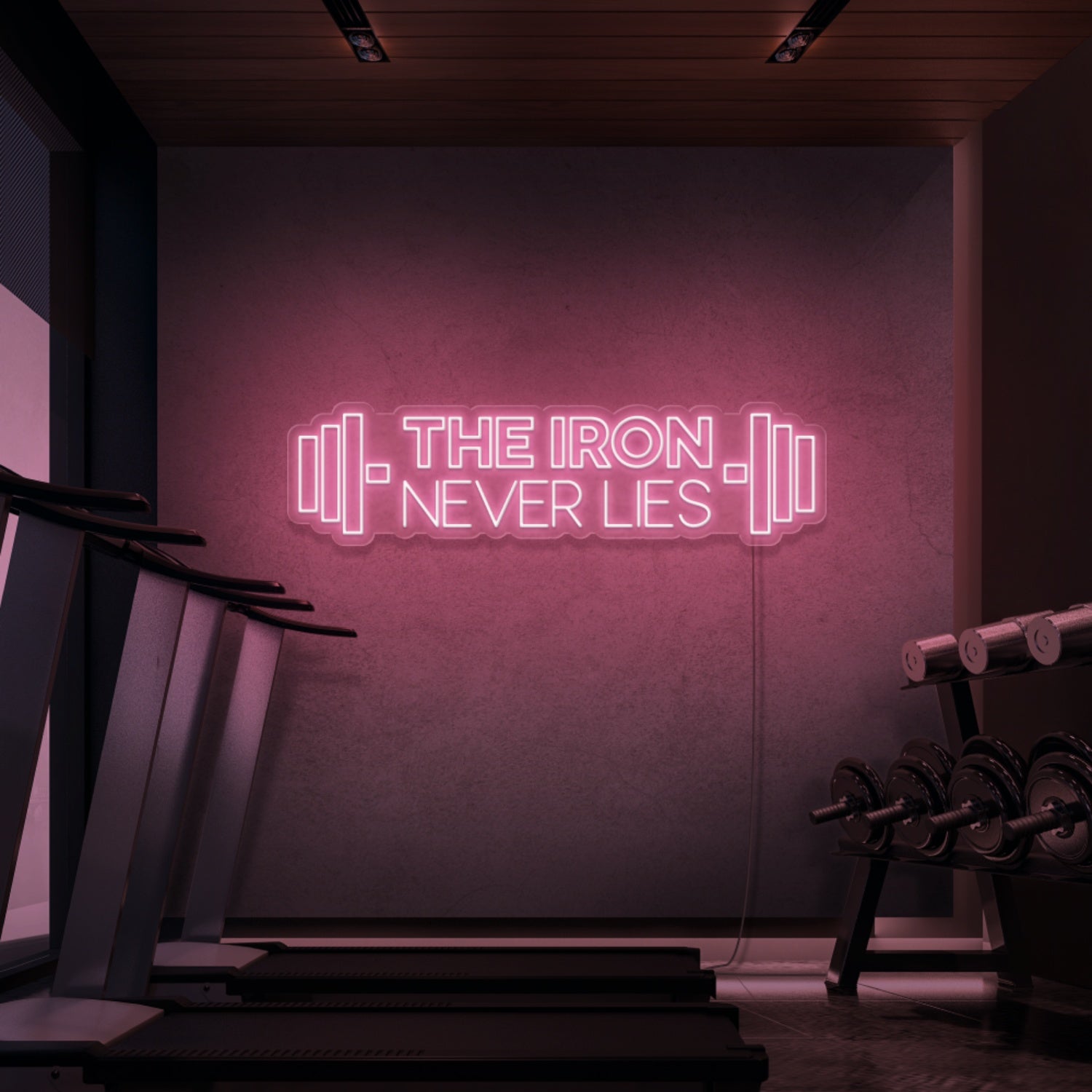 The Iron Does Not Lie Led Neon Signs - Shineneon
