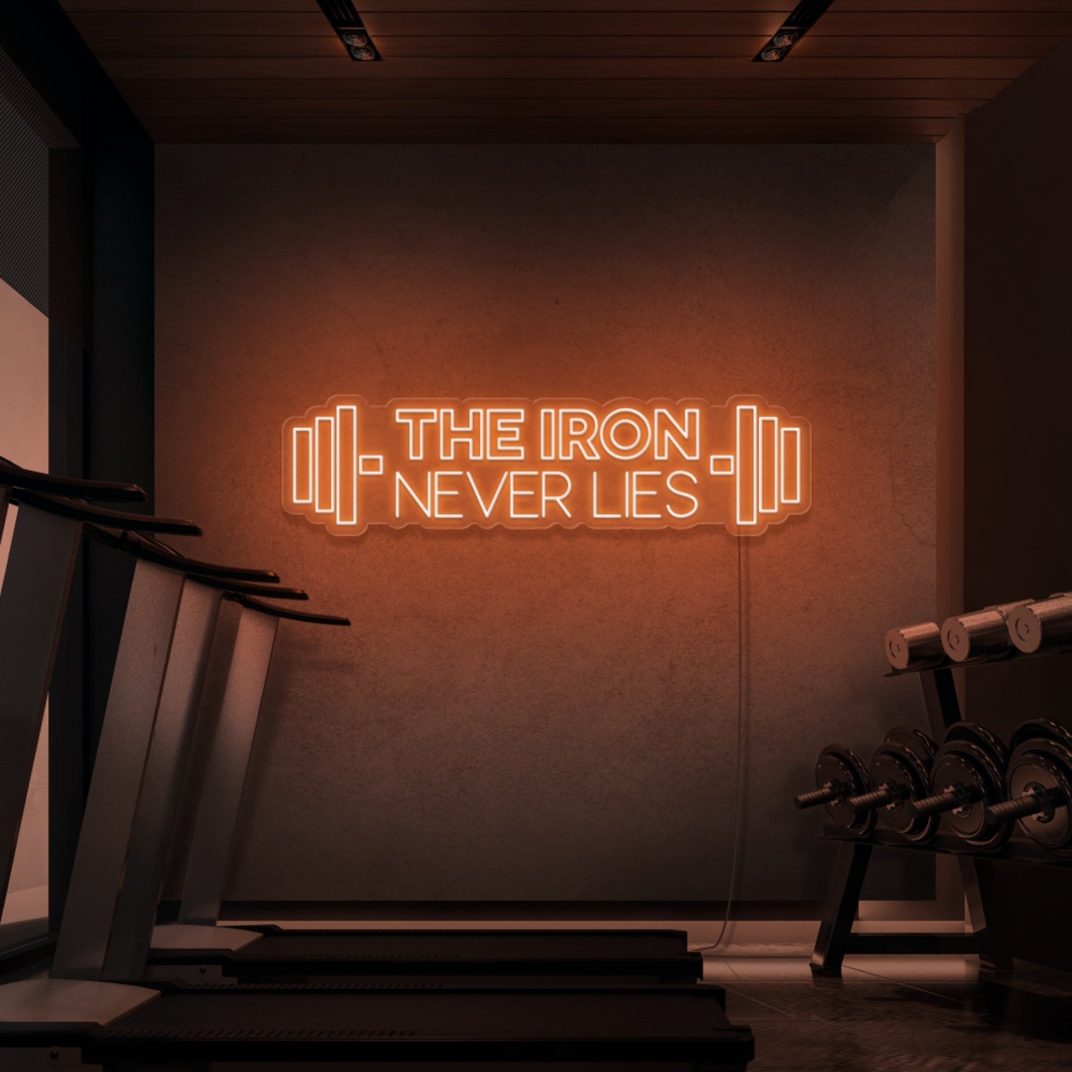 The Iron Does Not Lie Led Neon Signs - Shineneon