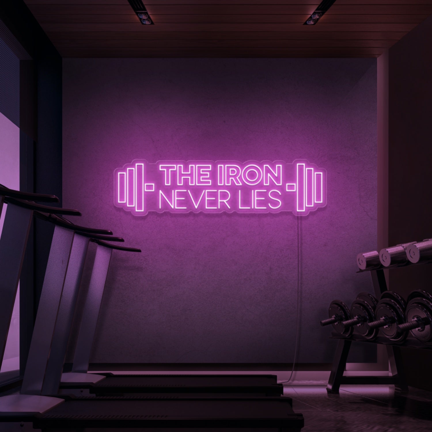 The Iron Does Not Lie Led Neon Signs - Shineneon