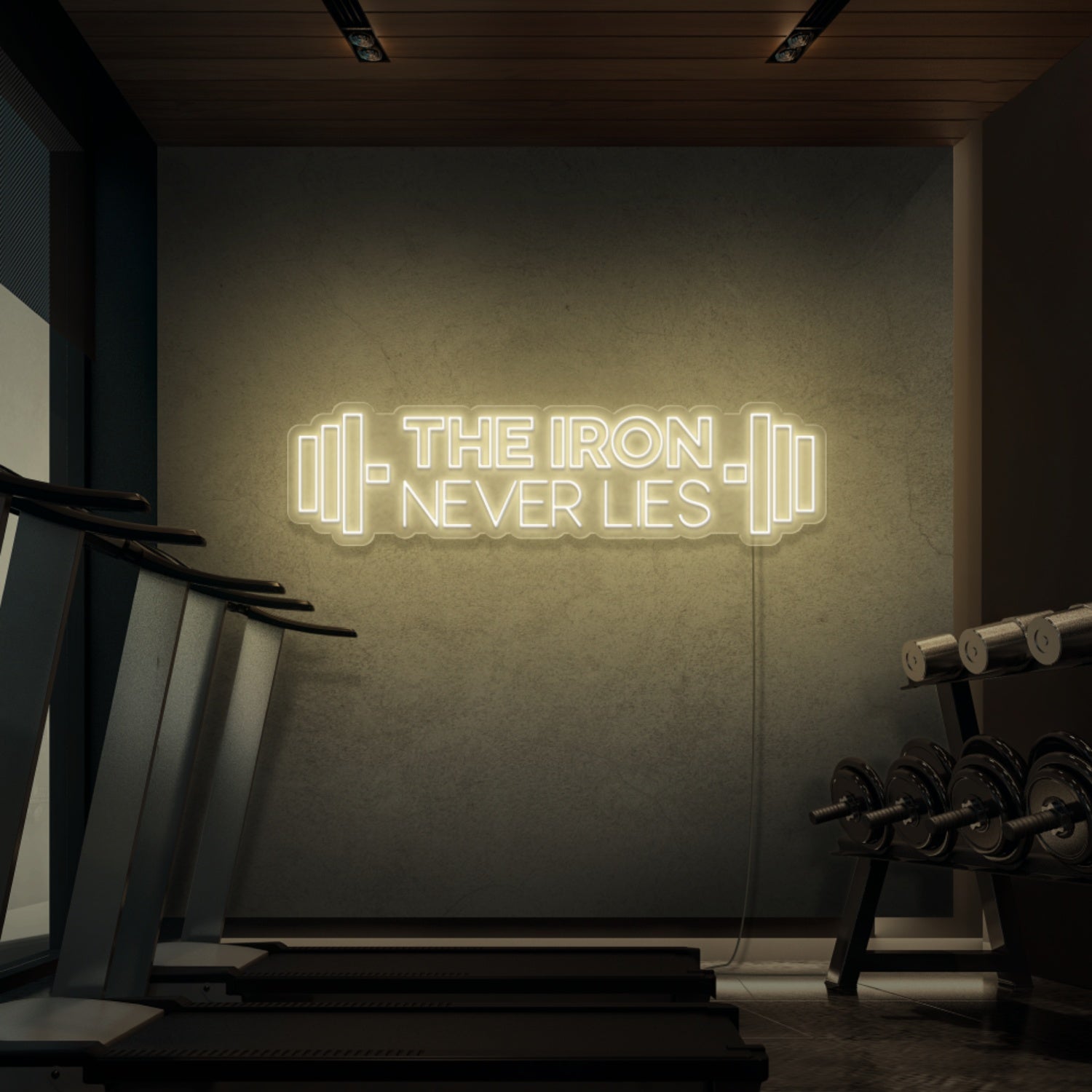 The Iron Does Not Lie Led Neon Signs - Shineneon