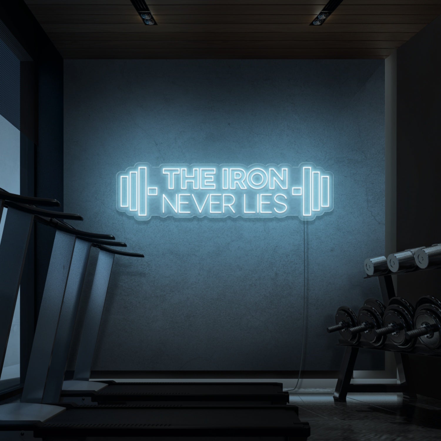 The Iron Does Not Lie Led Neon Signs - Shineneon