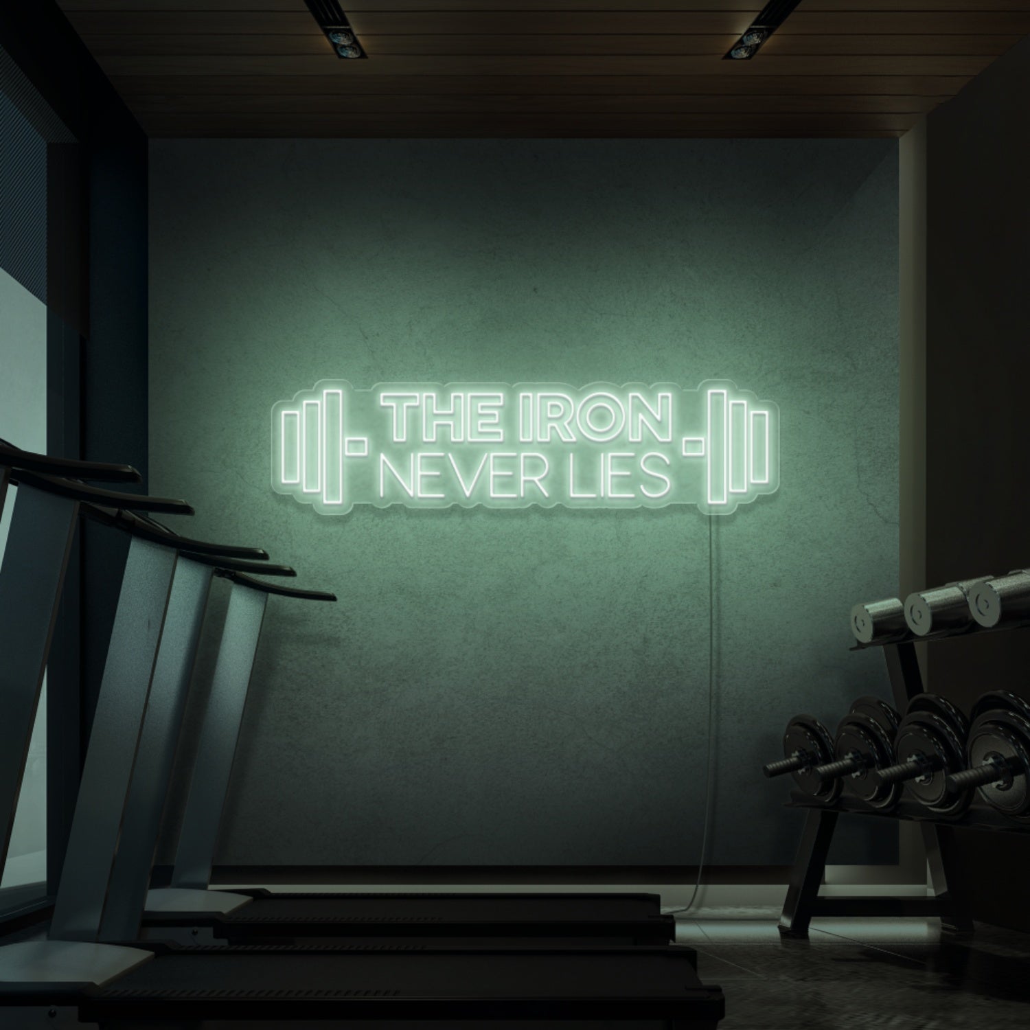 The Iron Does Not Lie Led Neon Signs - Shineneon