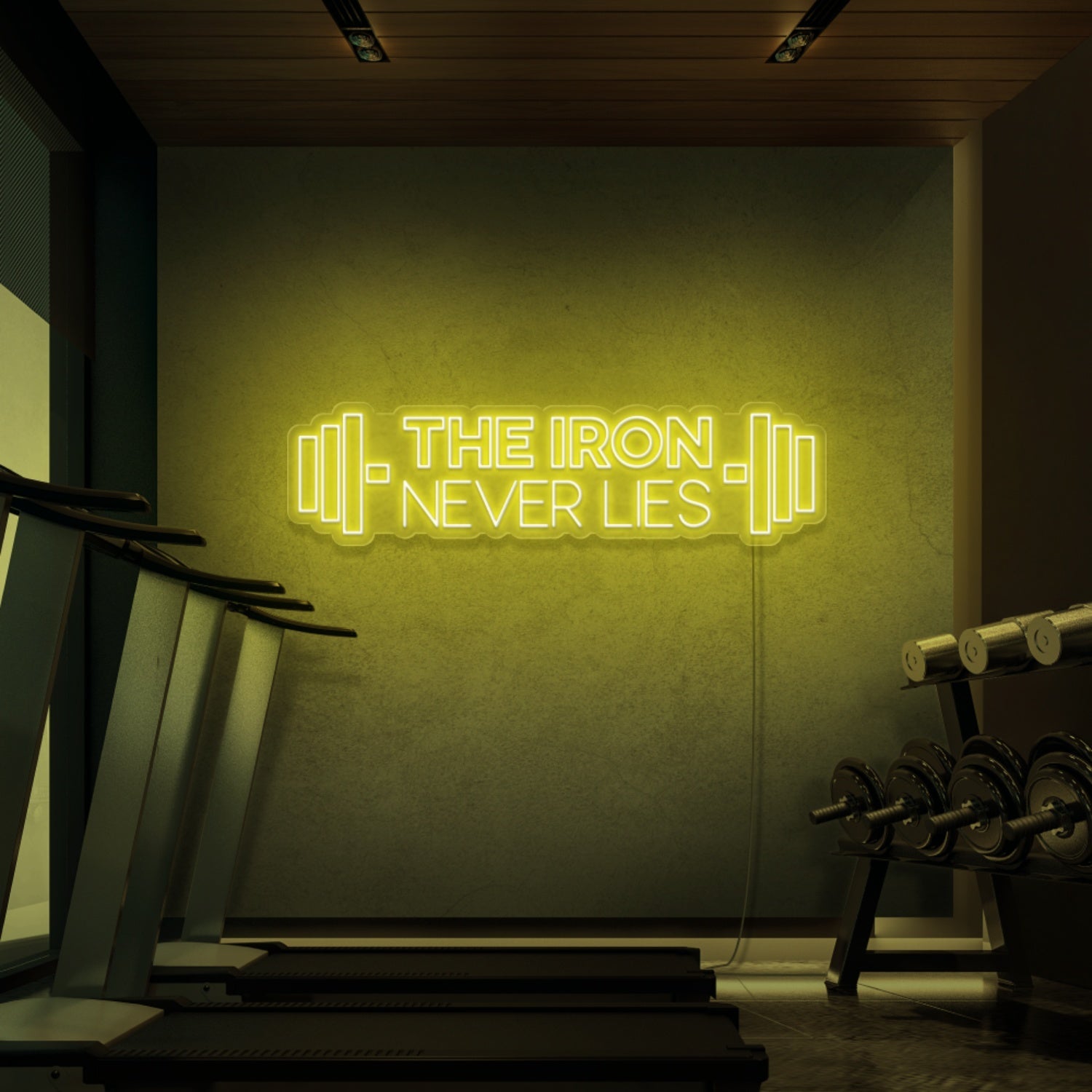 The Iron Does Not Lie Led Neon Signs - Shineneon