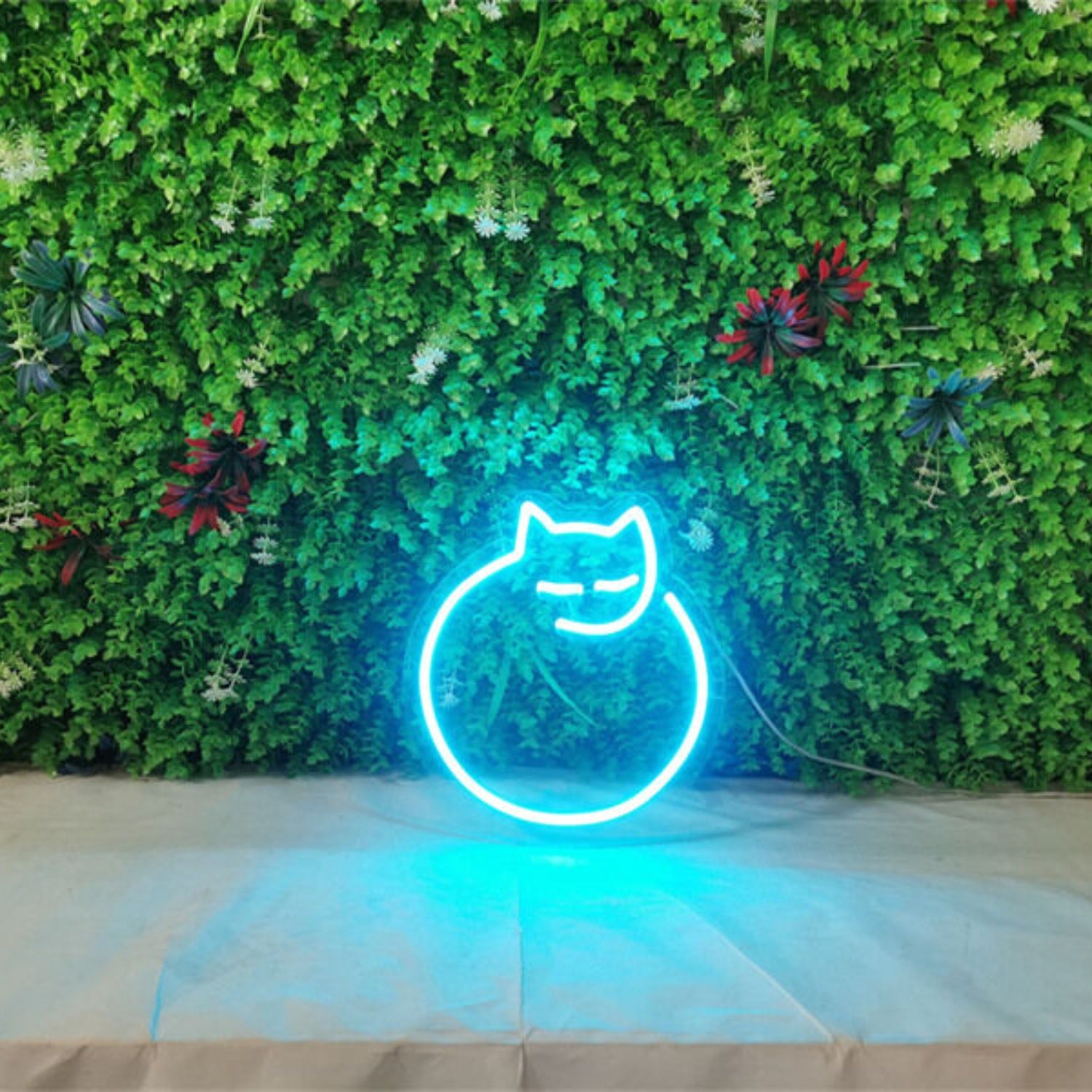 The Mini Cat Led Neon Sign | Shineneon