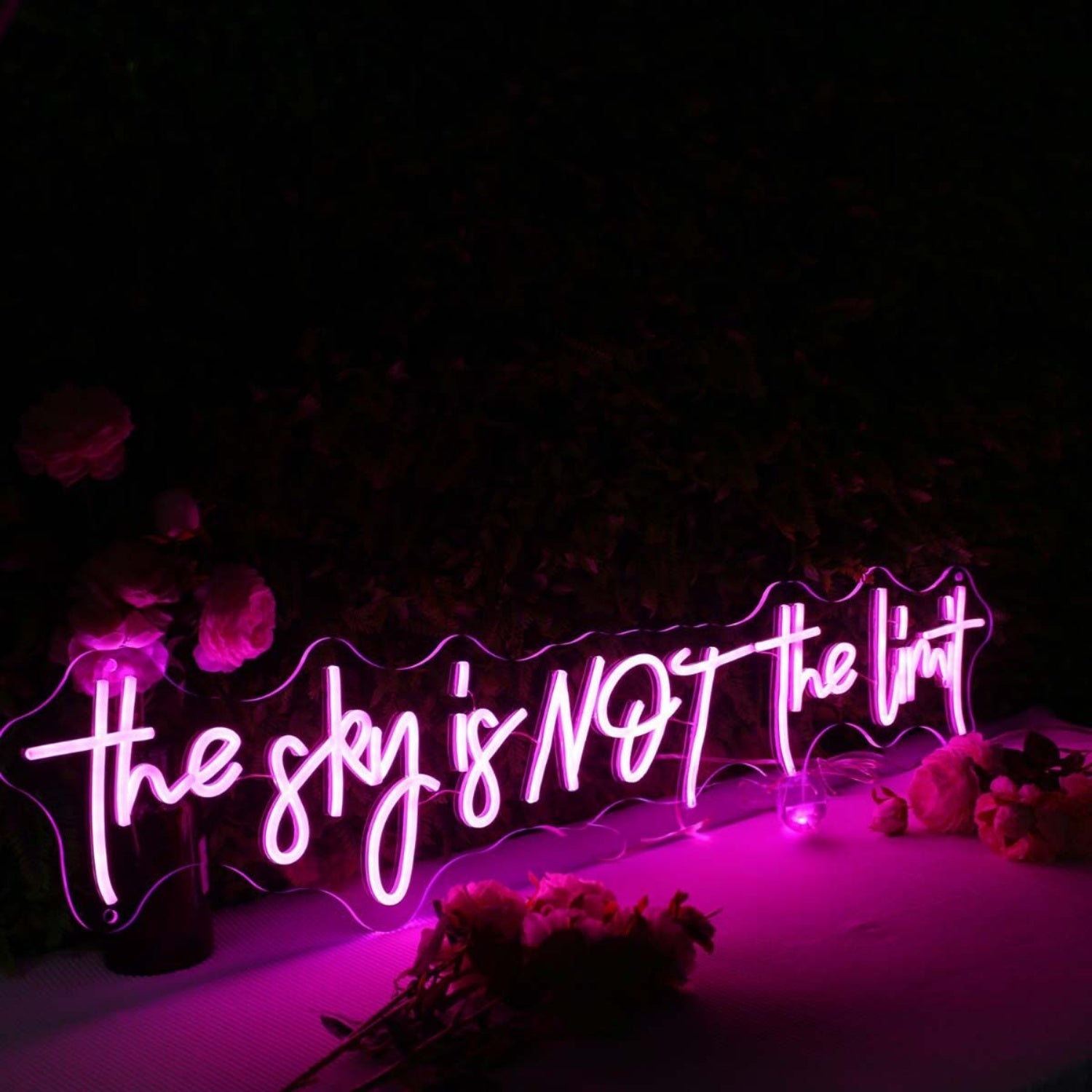 The Sky Is Not The Limit Pink Led Neon Sign - Shineneon