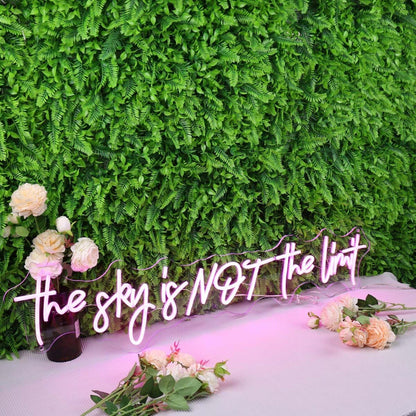 The Sky Is Not The Limit Pink Led Neon Sign - Shineneon